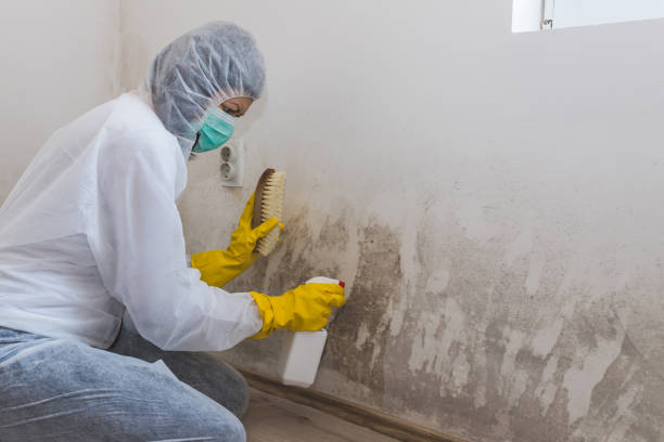 Best Certified Mold Removal  in Eureka, KS