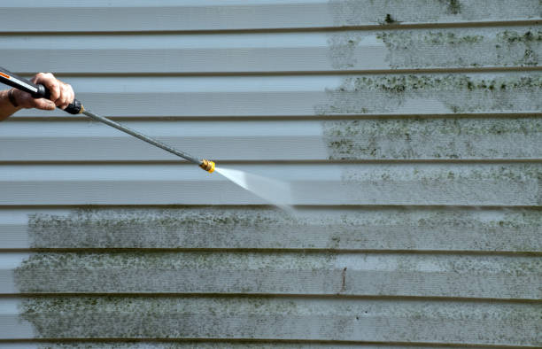 Best Mold Cleaning Services  in Eureka, KS