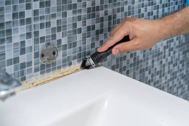 Best Mold Damage Repair  in Eureka, KS