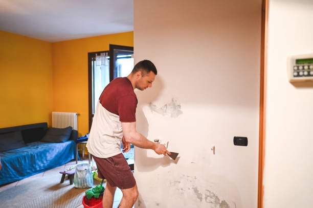 Best Best Mold Removal Companies  in Eureka, KS