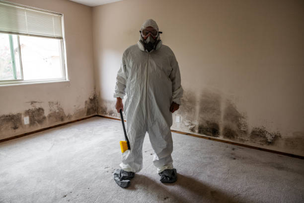 Crawl Space Mold Removal in Eureka, KS